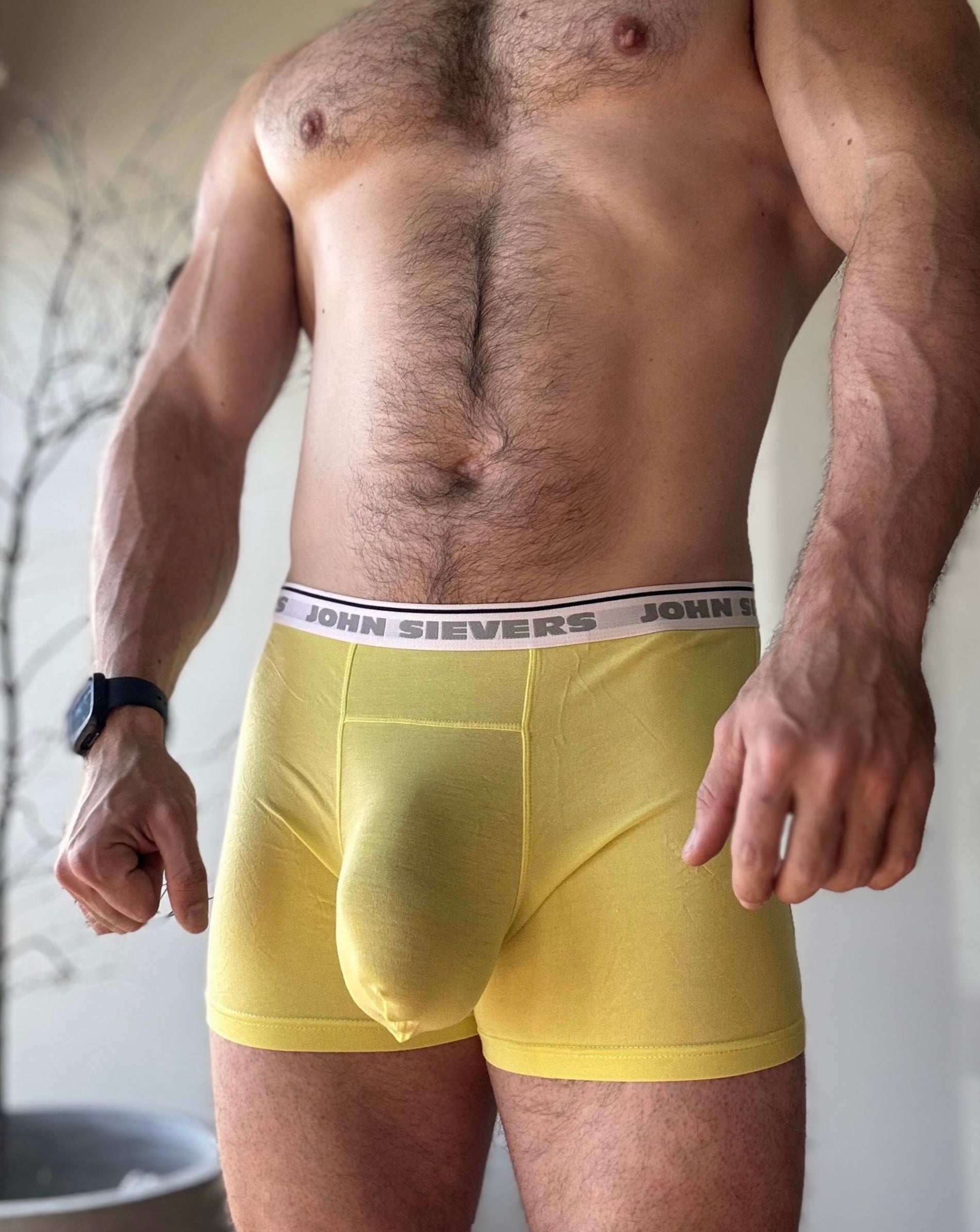 Boxer Briefs